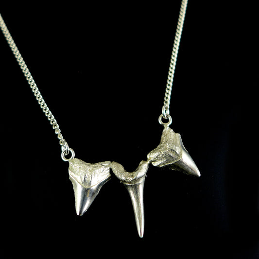 Silver Shark tooth necklace